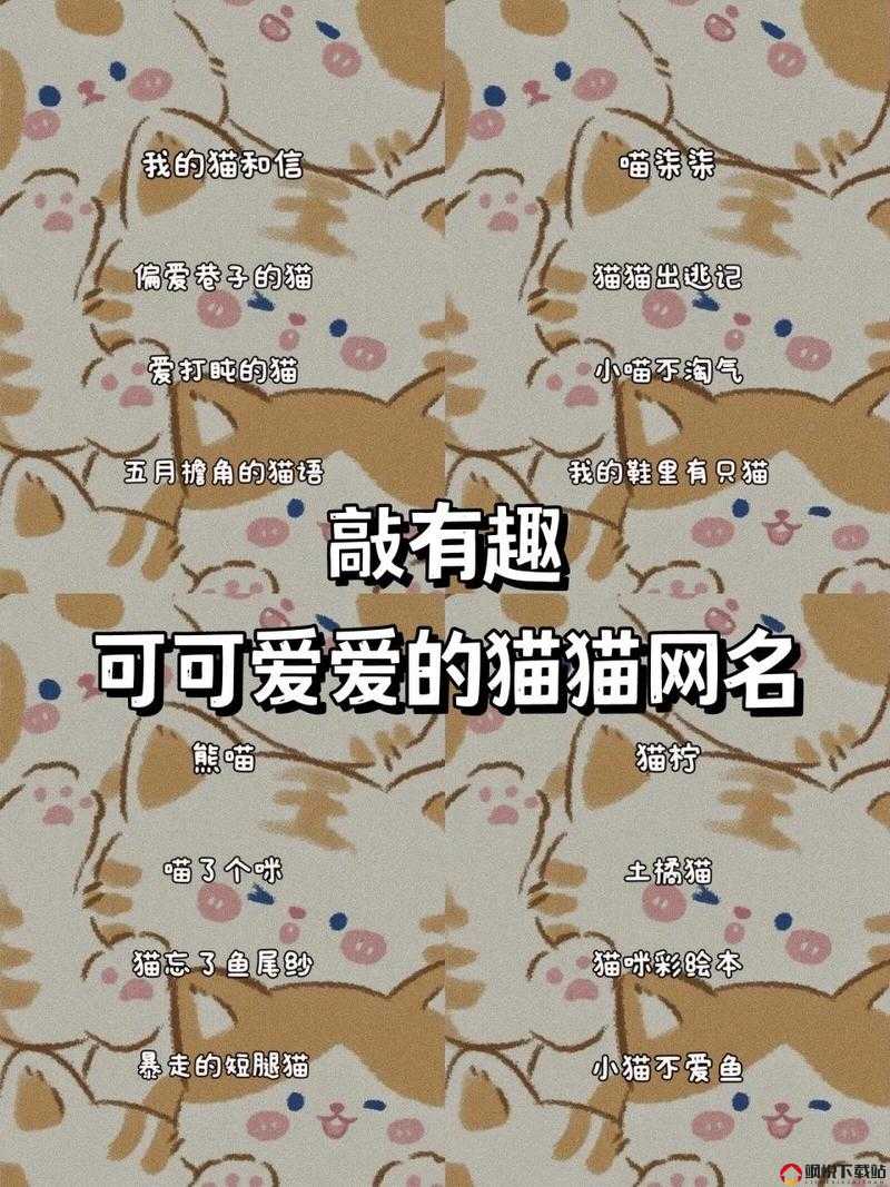 2021 猫咪最新地域网名：带你走进猫咪世界的奇妙领地